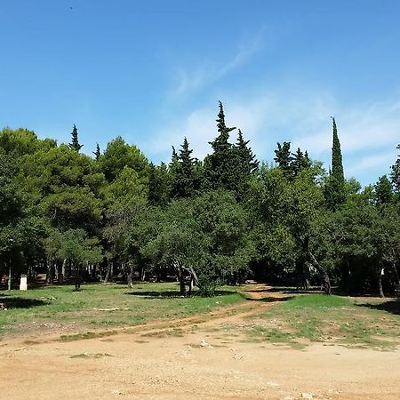Bungalows Jurjevac Stari Grad  Ngoại thất bức ảnh