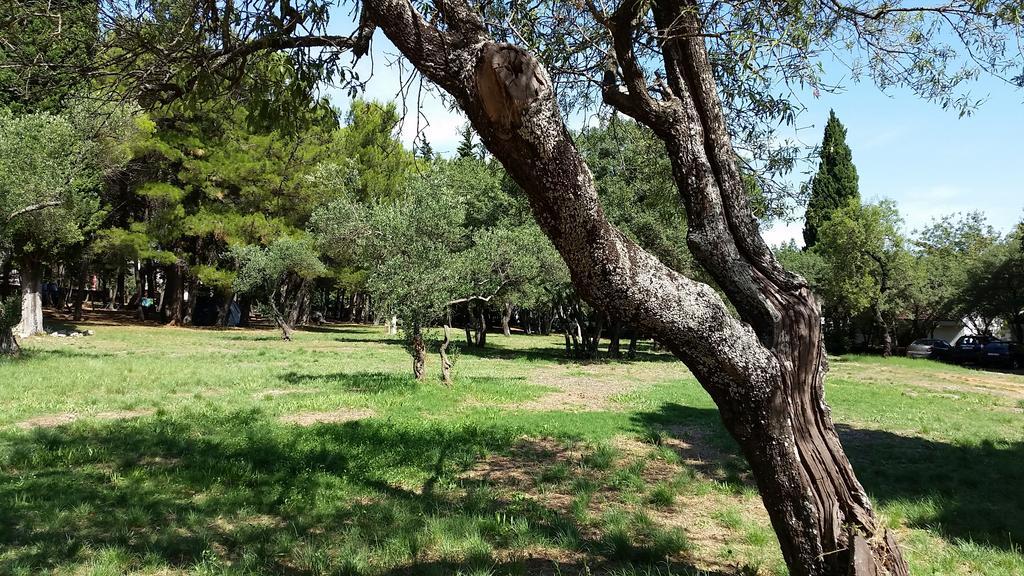 Bungalows Jurjevac Stari Grad  Phòng bức ảnh